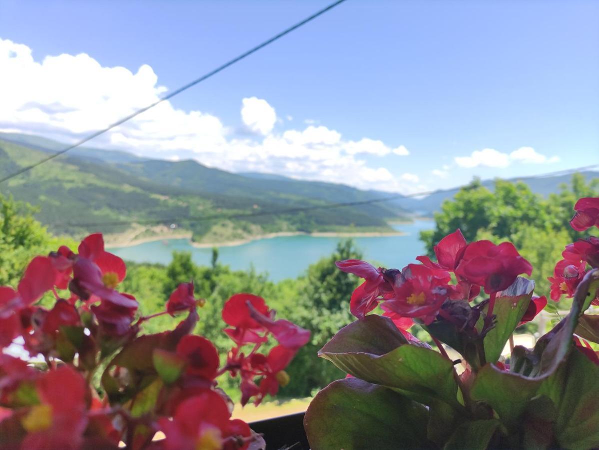 Vila Zapis - Zavojsko Jezero Pirot Exterior foto